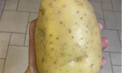 potato接受不到验证信息.