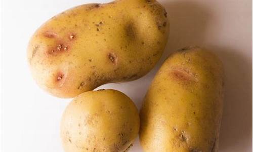 POTATO下载壁纸的软件(potato下载方法)